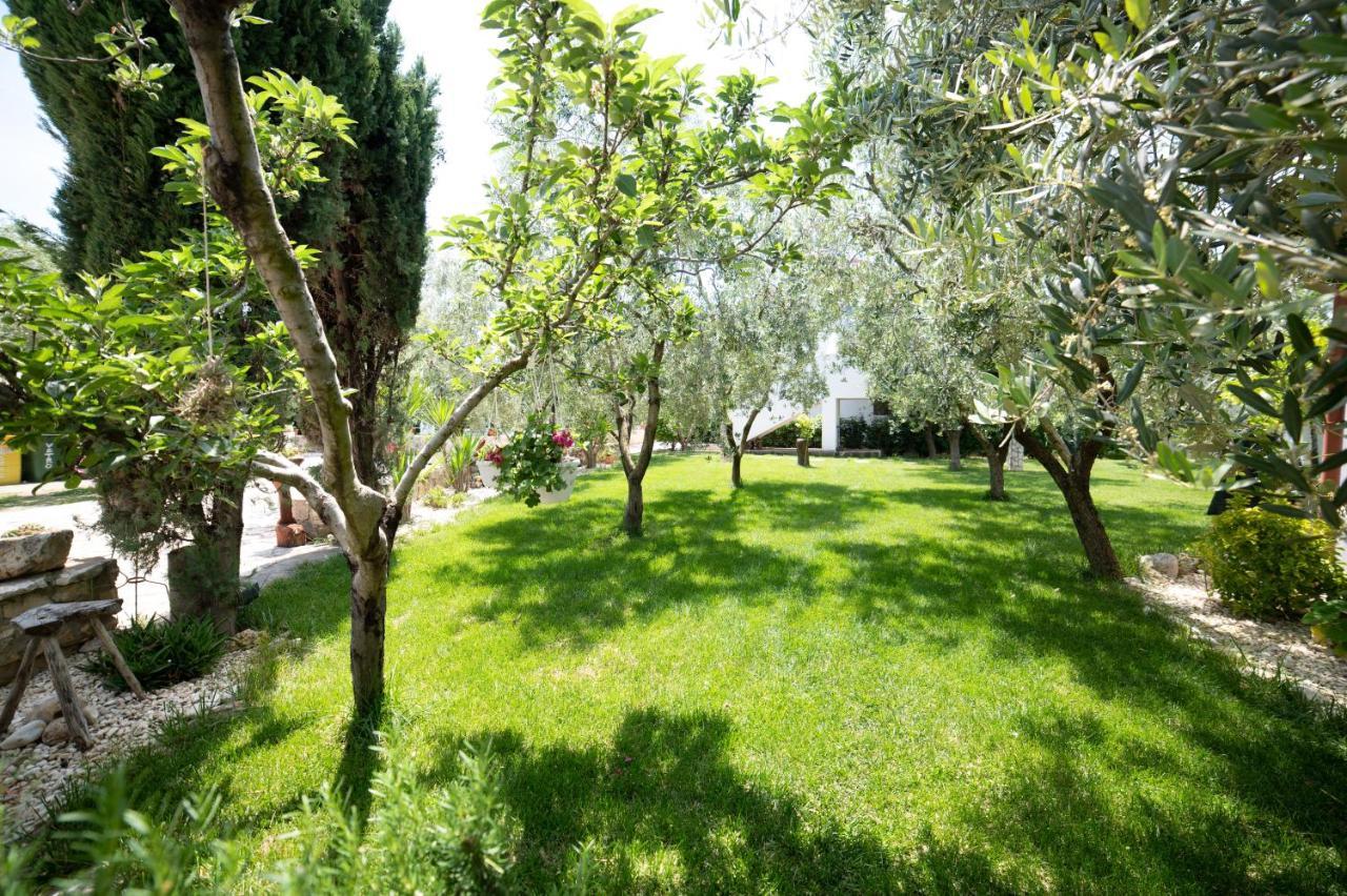 منزل الضيف فيستَ  في I Sapori Del Gargano المظهر الخارجي الصورة