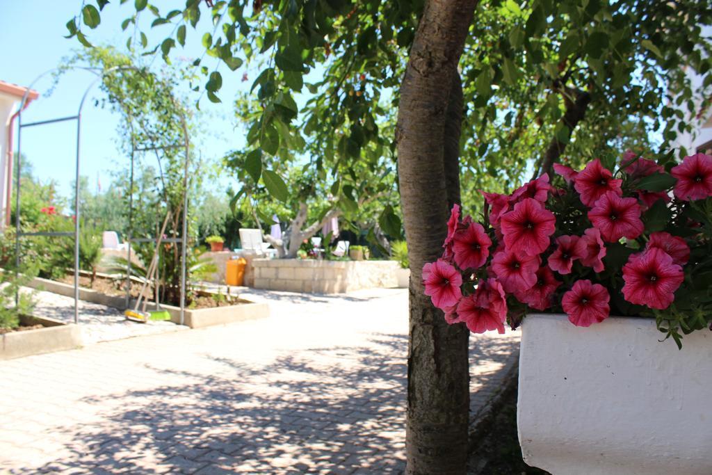منزل الضيف فيستَ  في I Sapori Del Gargano المظهر الخارجي الصورة